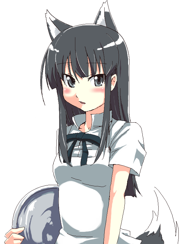 grune, 1girl, animal ears, black hair, cat ears, female focus, grey eyes, sidelocks, simple background, solo, tail, tray, waitress, wolf ears, wolf tail