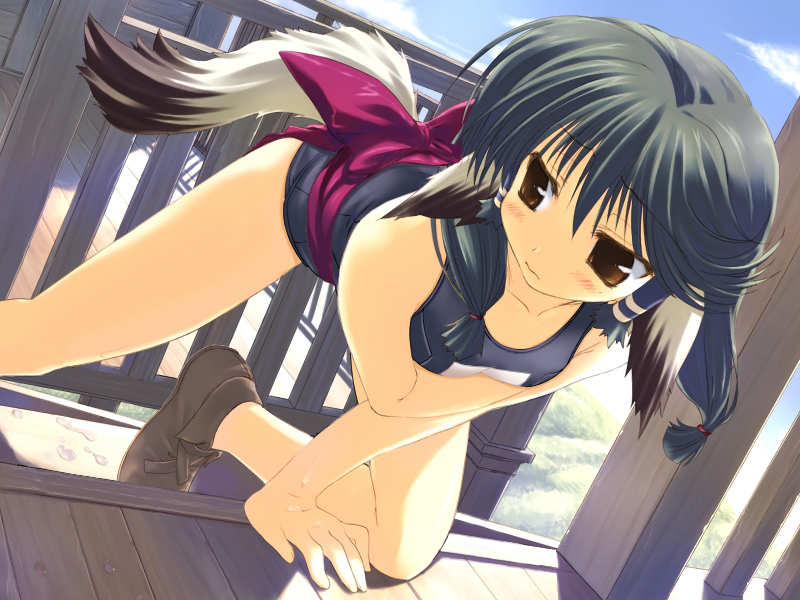aruruu, utawarerumono, 00s, 1girl, all fours, animal ears, breasts, brown eyes, brown hair, dog ears, dog tail, dutch angle, female focus, hair tubes, looking back, one-piece swimsuit, school swimsuit, solo, swimsuit, tail