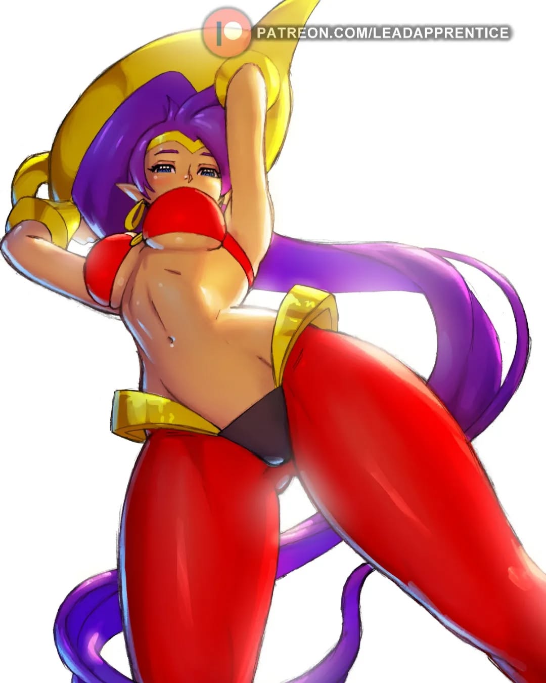 leadapprentice, shantae, shantae (series), highres, 1girl, bra, breasts, dark-skinned female, dark skin, earrings, from below, genie lamp, jewelry, large breasts, long hair, looking at viewer, pants, pointy ears, purple hair, underwear, very long hair, white background