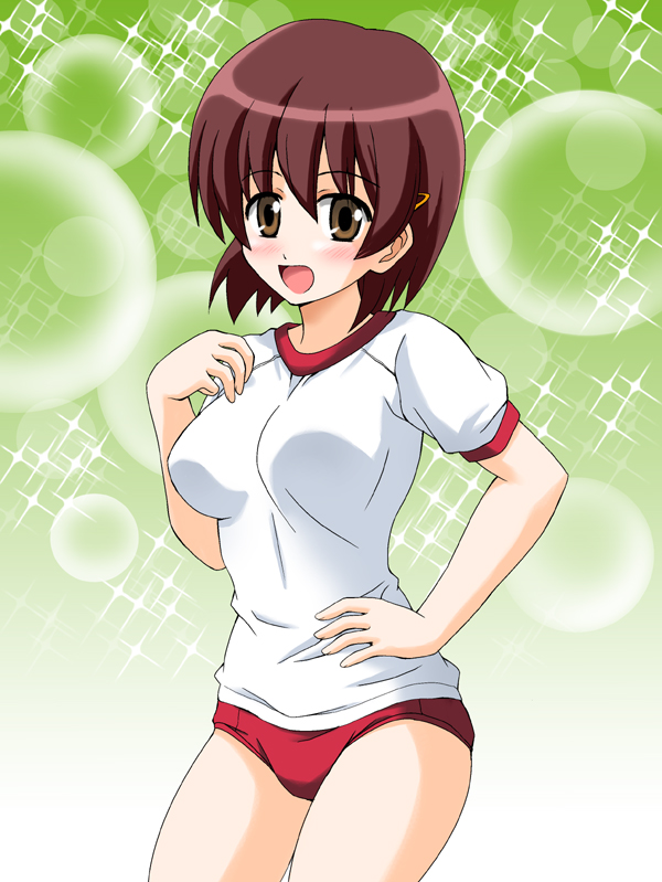 ponzu rui, fujiwara naeka, kamen no maid guy, 00s, 1girl, blush, brown hair, buruma, female focus, gym uniform, open mouth, red buruma, solo