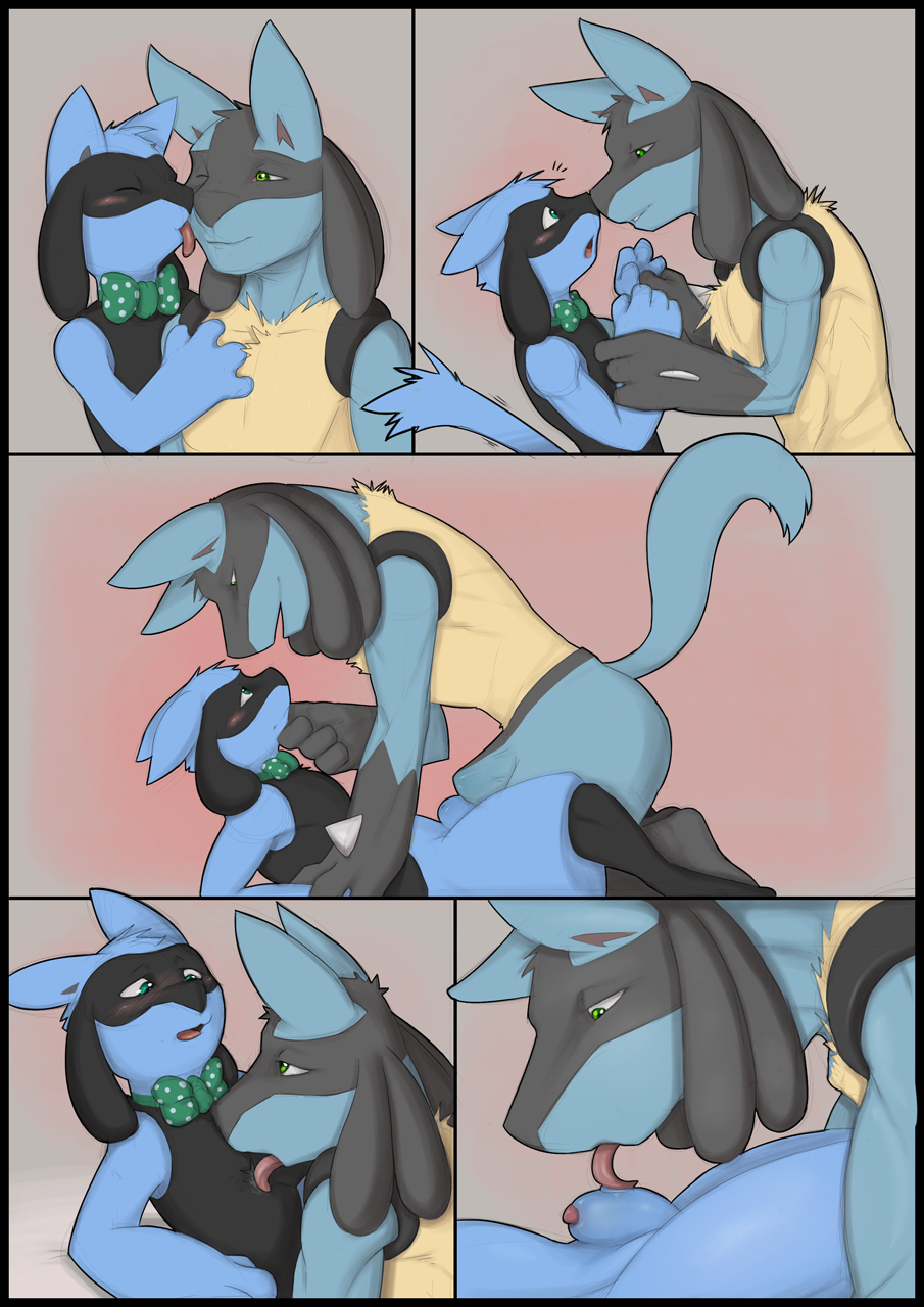 Rule34 – If it exists, there is porn of it / dreiker, lucario, riolu / 202795