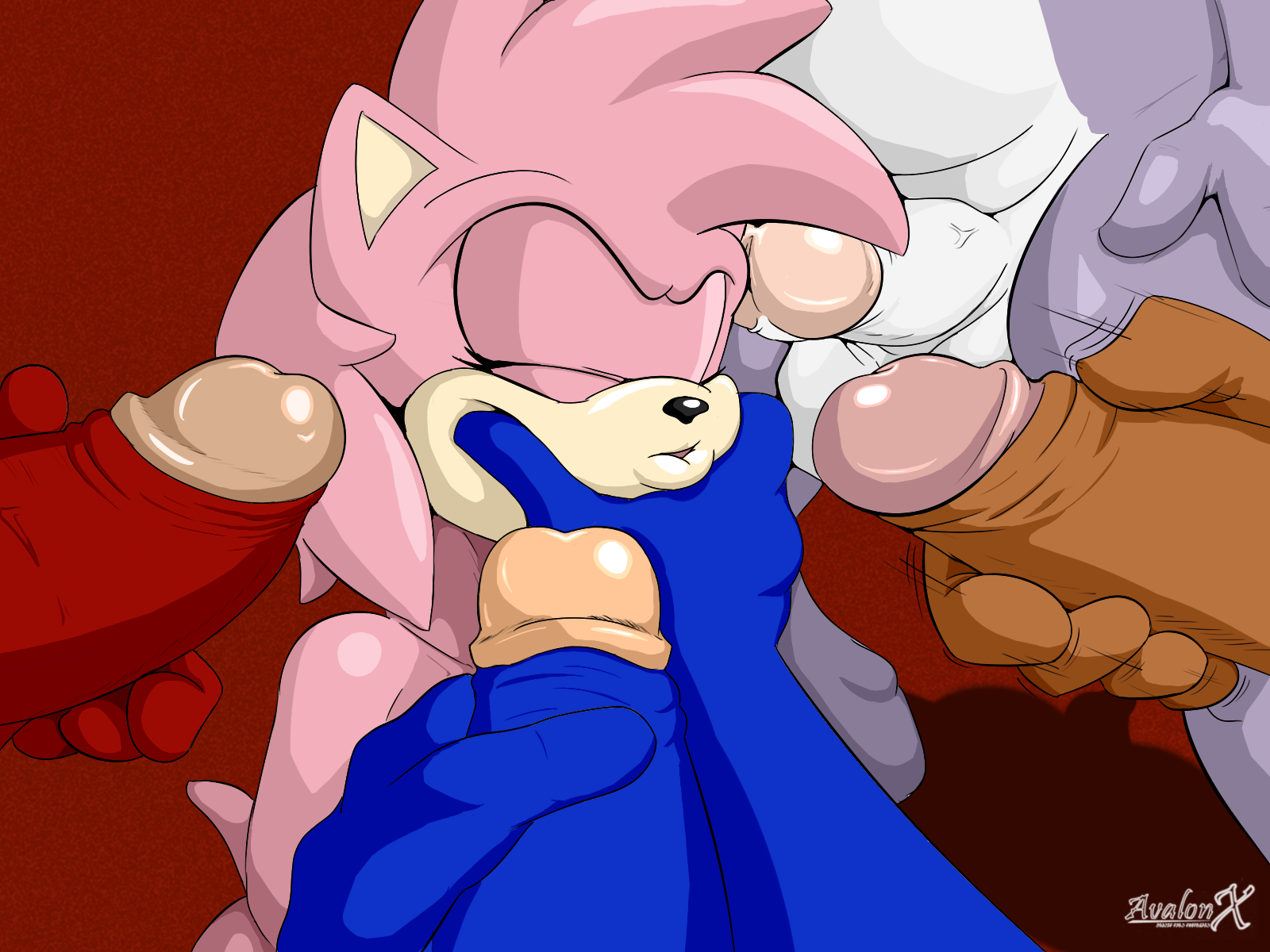 Rule34 – If it exists, there is porn of it / aval0nx, amy rose, knuckles the echidna, sonic the hedgehog / 203587