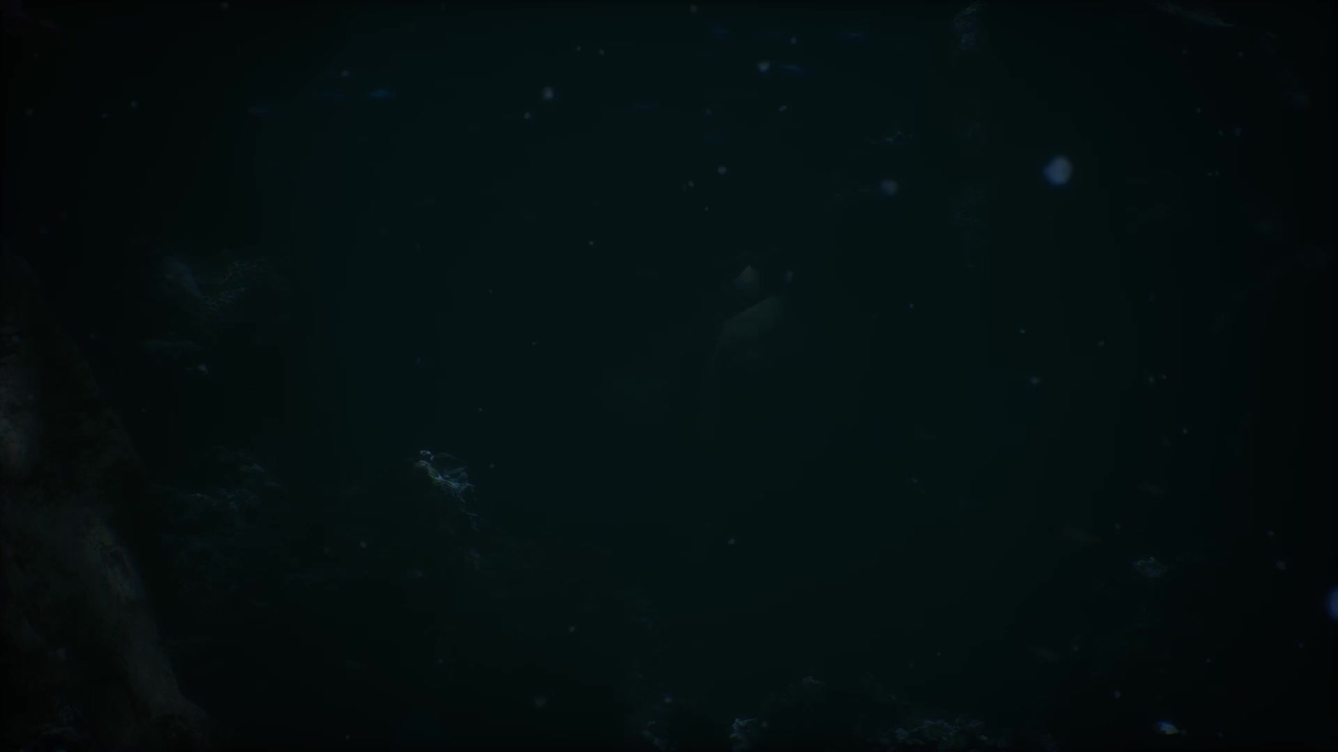gamera, engi (animation studio), epic games, gamera (series), gamera -rebirth-, gigabash, kadokawa, microsoft, nintendo, passion republic games, sony, steam (platform), stove (platform), 60fps, animated, highres, sound, video, bubble, crossover, english text, flippers, game console, game trailer, giant, giant monster, glowing, glowing eyes, green eyes, kaiju, monster, motion blur, nintendo switch, nintendo switch 2, no humans, playstation 4, playstation 5, sea monster, silhouette, submerged, swimming, tail, teaser, teaser trailer, trailer (media), turtle, turtle shell, tusks, underwater, xbox series x