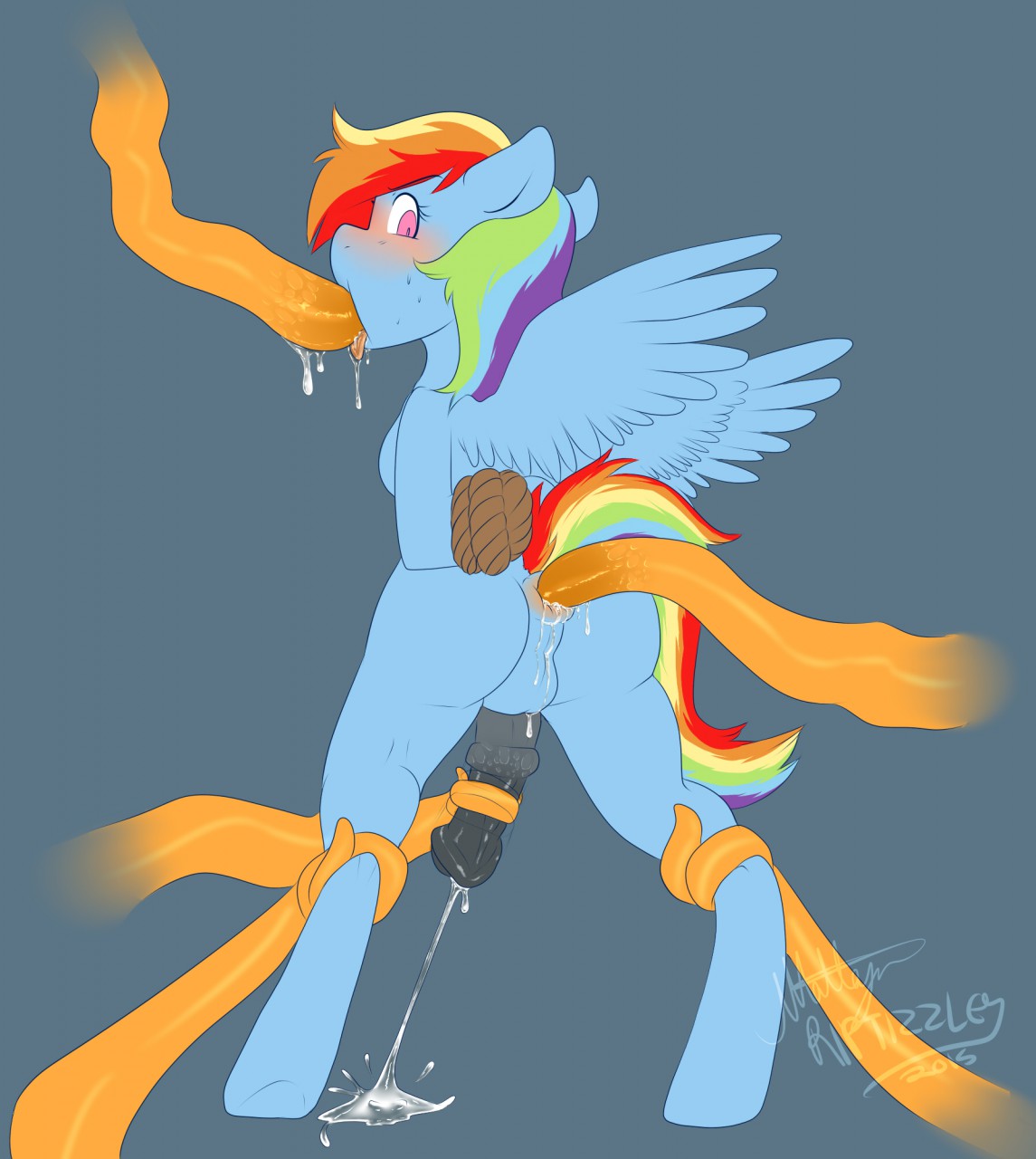 Rule34 – If it exists, there is porn of it / whitehair, rainbow dash (mlp) / 204094
