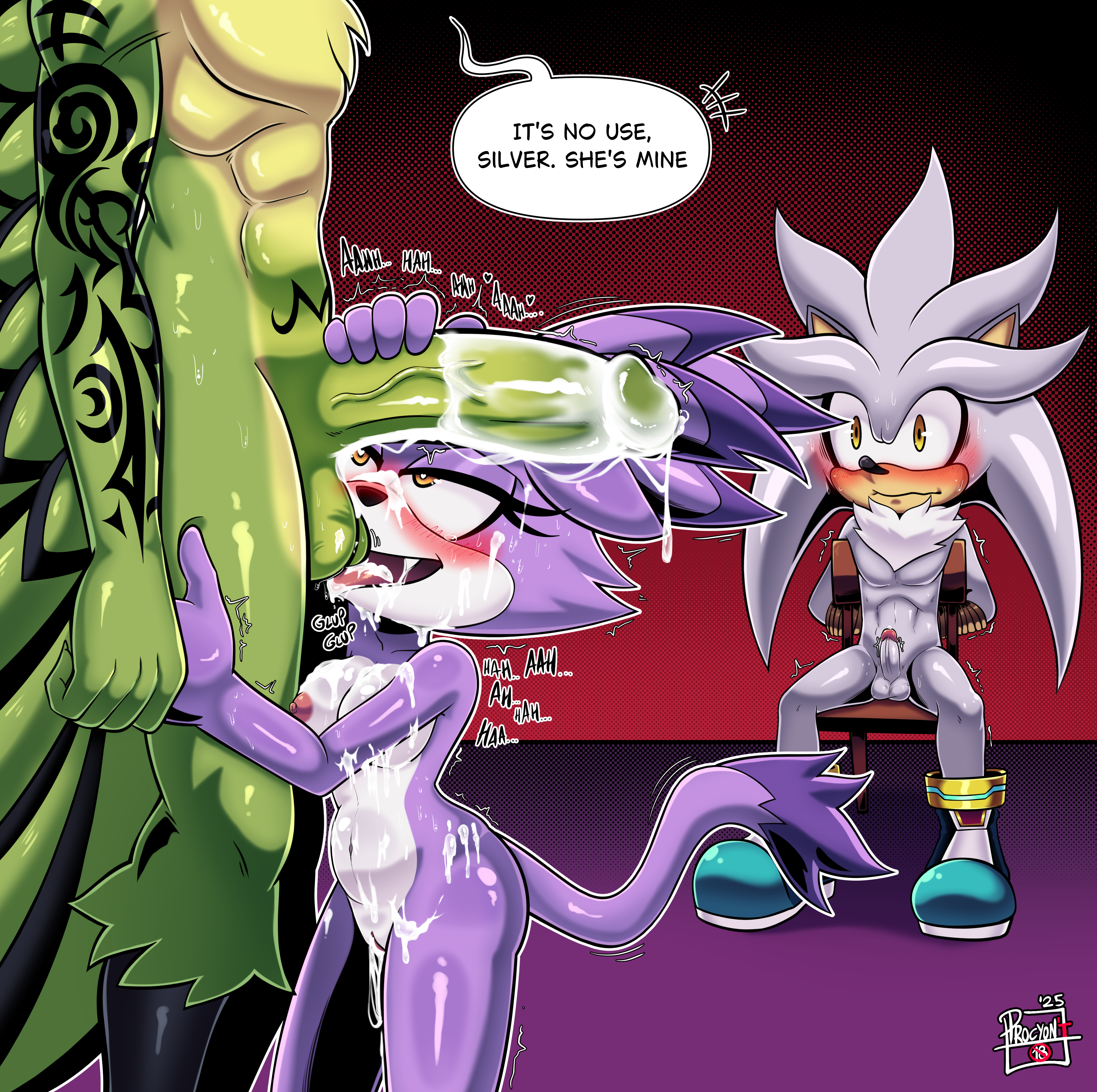 Rule34 – If it exists, there is porn of it / blaze the cat, silver the hedgehog / 8675809