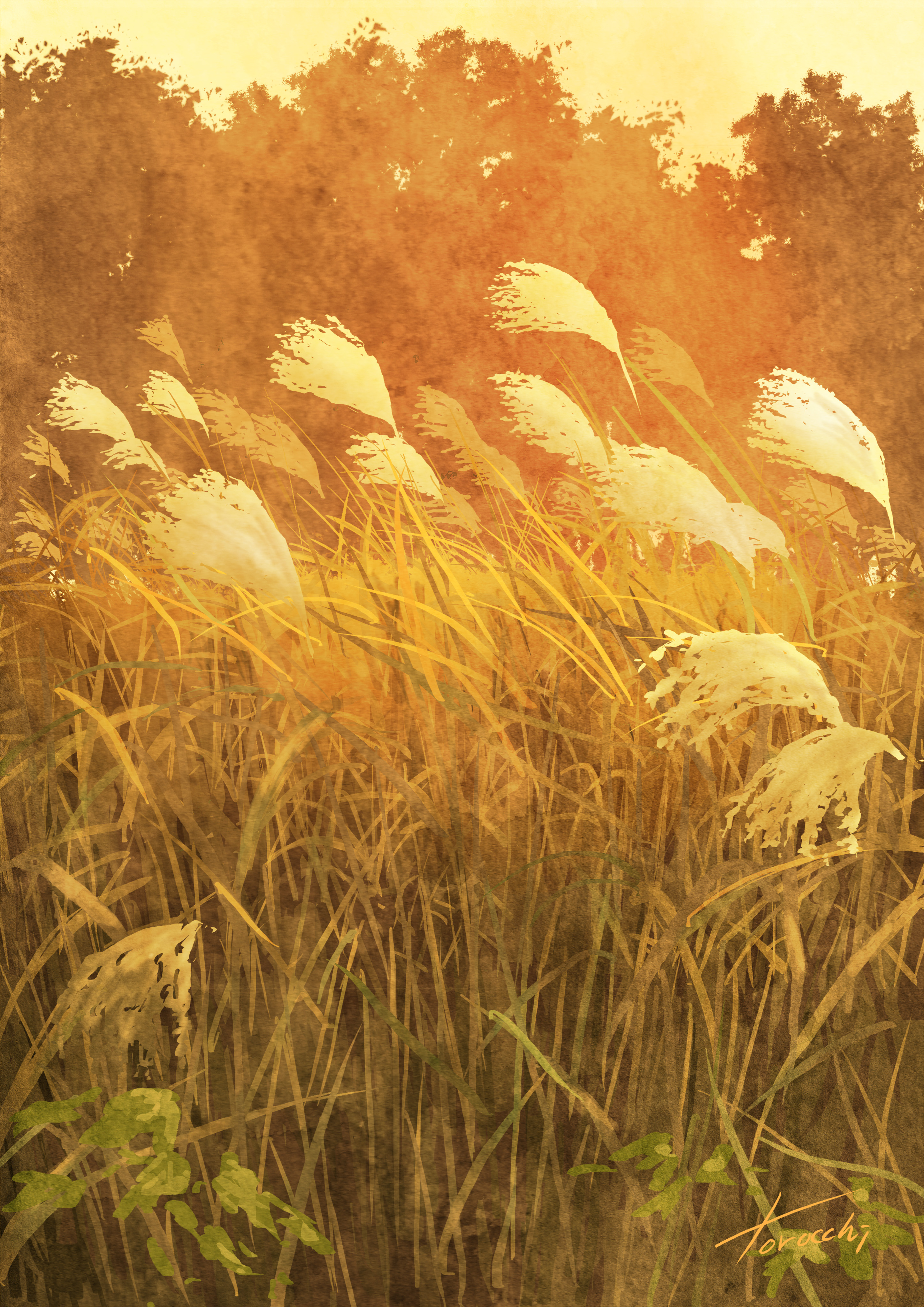goke shike (altamira05), original, absurdres, commentary request, highres, variant set, artist name, evening, field, grass, nature, no humans, outdoors, signature, susuki grass, tall grass, warm colored