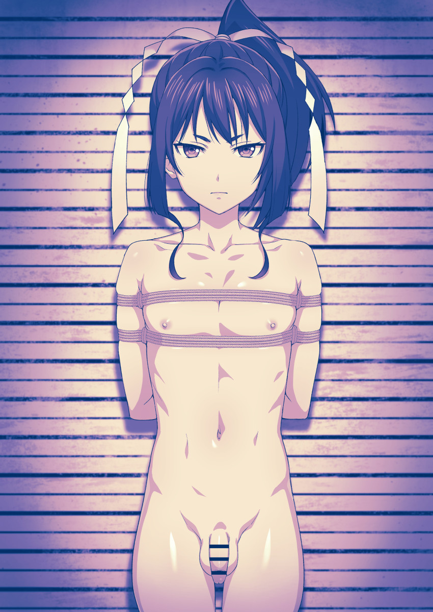 teba motoko, houjou tokiyuki (nige jouzu no wakagimi), nige jouzu no wakagimi, highres, 1boy, arms behind back, bdsm, bondage, bound, completely nude, male focus, mugshot, nude, penis, ponytail, prison, prisoner, restrained, shibari, yaoi, zenra
