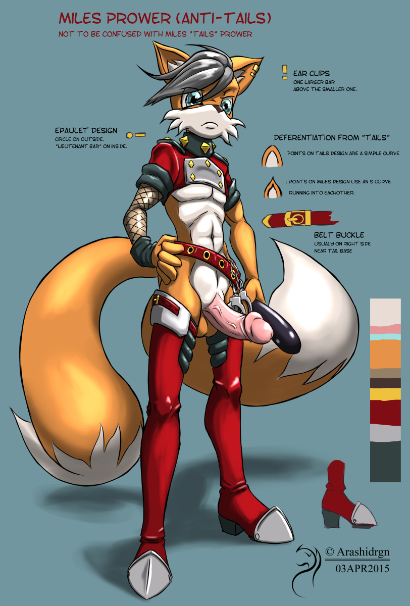 Rule34 – If it exists, there is porn of it / arashidrgn, tails / 204594