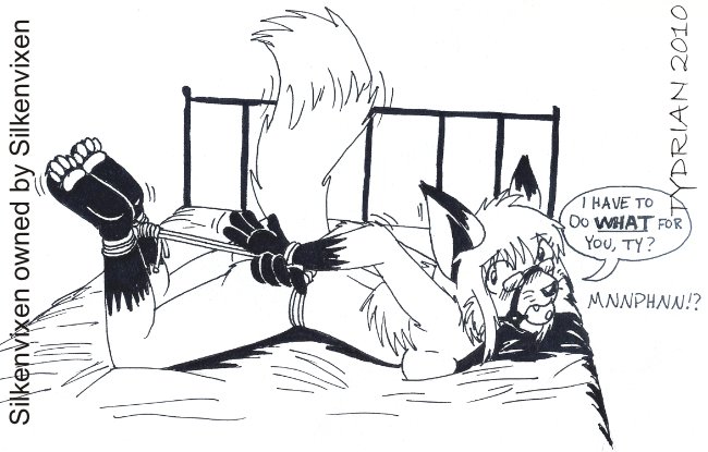 Rule34 – If it exists, there is porn of it / tydrian, silkenvixen / 204969