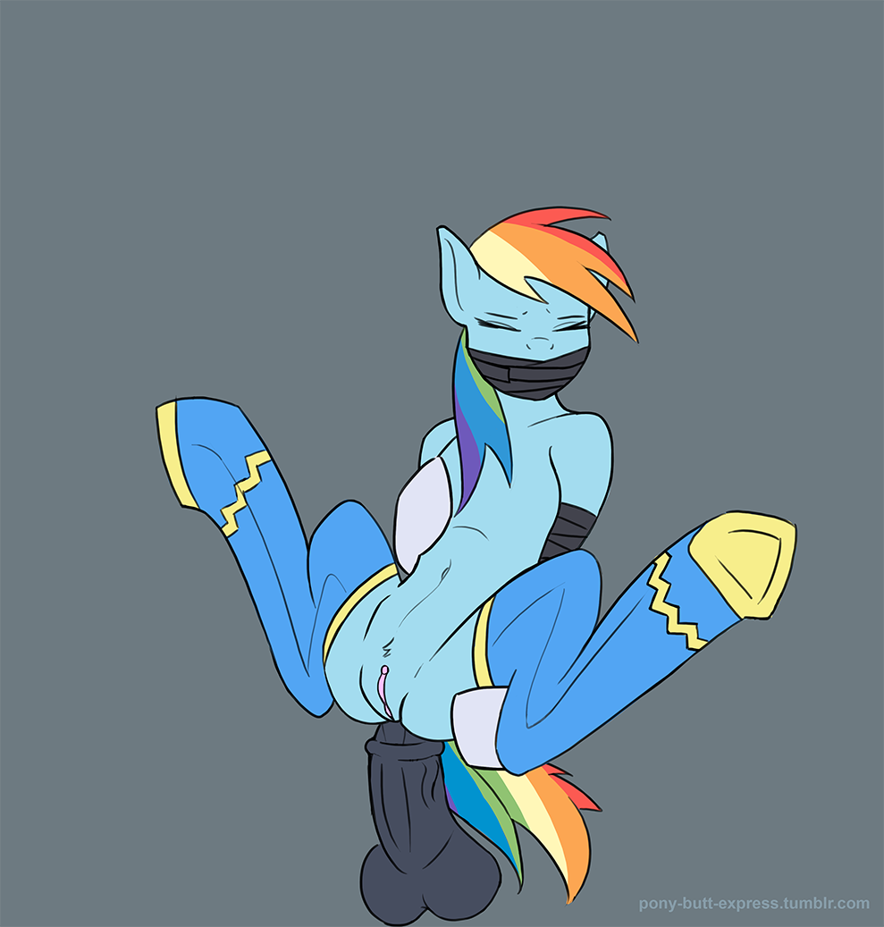 Rule34 – If it exists, there is porn of it / rainbow dash (mlp) / 204972