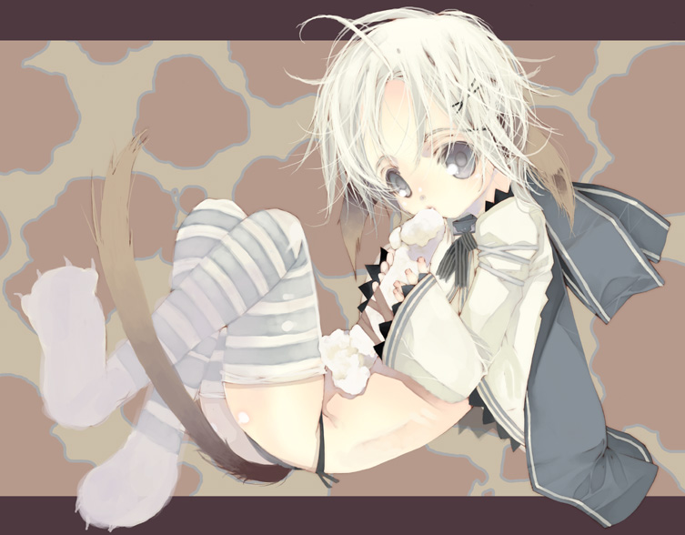 ooki bonta, original, gender request, androgynous, animal ears, blue eyes, bone, hair ornament, hairclip, panties, ribbon, sexually suggestive, short hair, solo, tail, thighhighs, underwear, white hair, zettai ryouiki