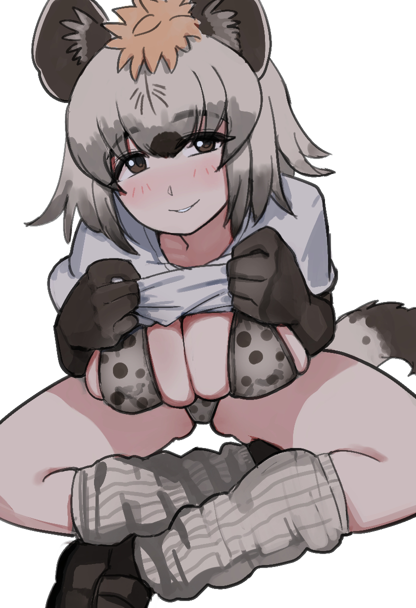 user gtxm2887, spotted hyena (kemono friends), kemono friends, kemono friends 3, highres, 1girl, animal ear fluff, animal ears, animal print, bikini, bikini under clothes, black gloves, black hair, blush, breasts, brown eyes, brown hair, clothes lift, elbow gloves, gloves, gluteal fold, grey hair, hair between eyes, hyena ears, hyena girl, hyena tail, large breasts, leg warmers, lifting own clothes, looking at viewer, medium hair, multicolored hair, no pants, parted lips, print bikini, shirt, shirt lift, shoes, short sleeves, simple background, sitting, skindentation, smile, solo, swimsuit, swimsuit under clothes, t-shirt, tail, white background, white shirt