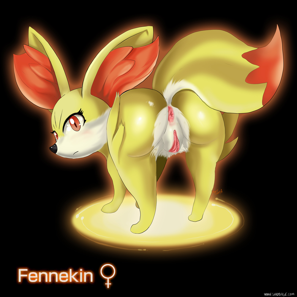 Rule34 – If it exists, there is porn of it / shadman, fennekin / 205518