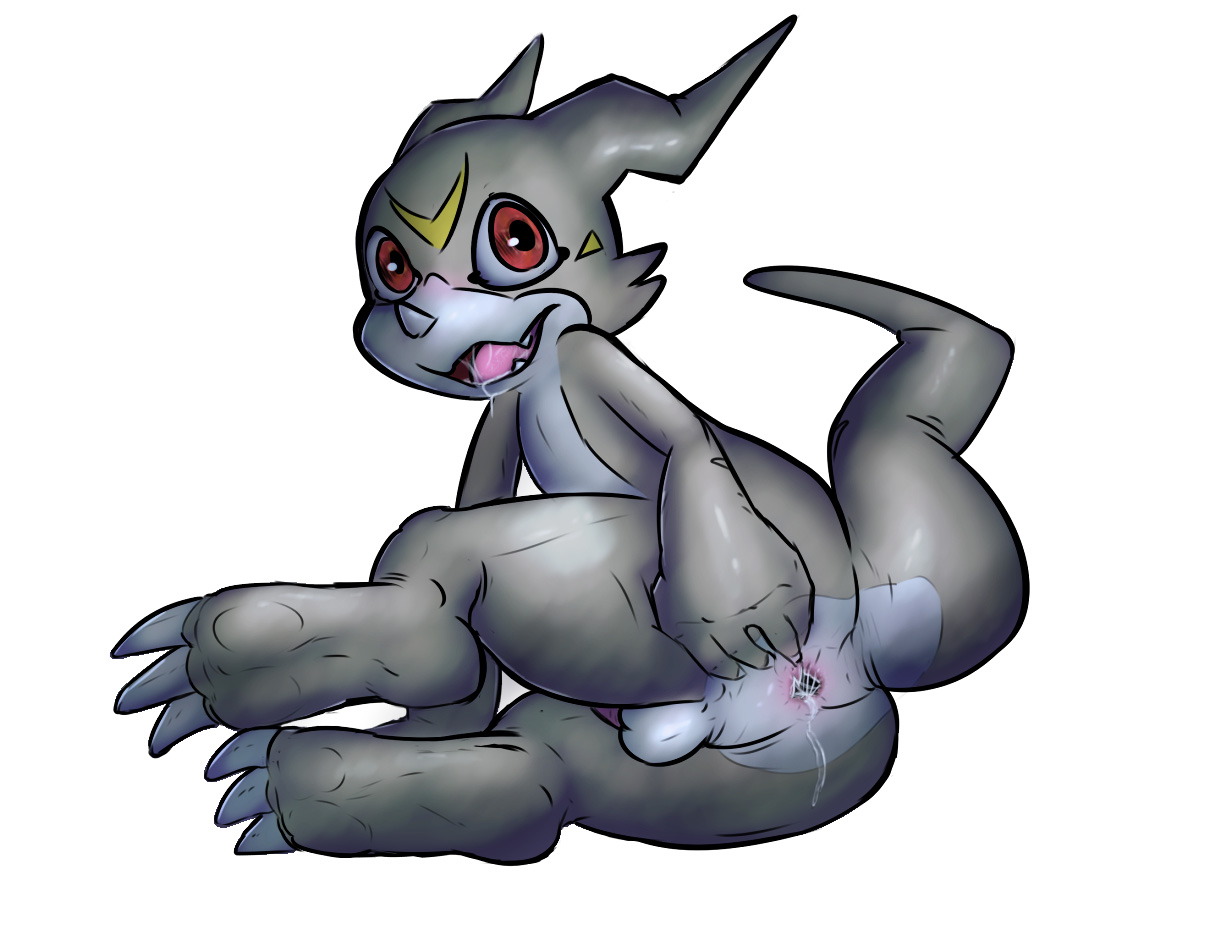 Rule34 – If it exists, there is porn of it / dacad, danjen, ryodramon, veemon / 205545