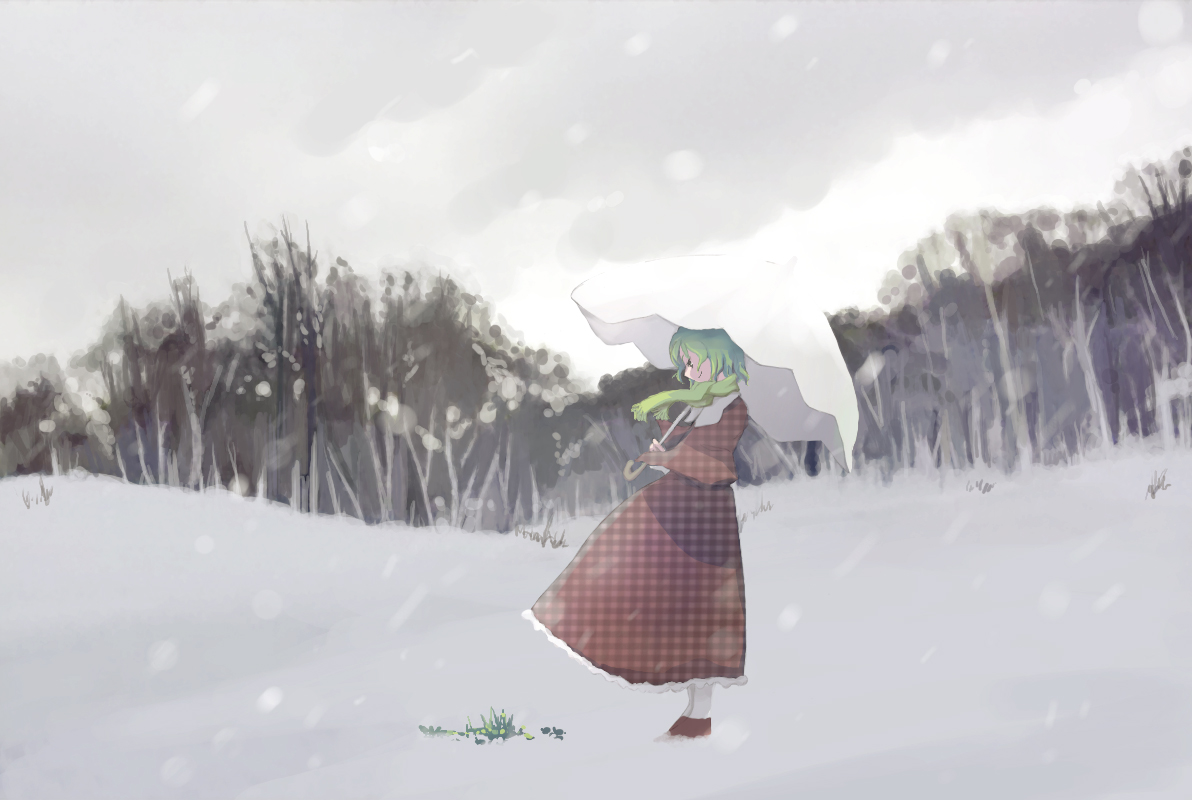 takanashi akihito, kazami yuuka, touhou, 1girl, ascot, female focus, green hair, light smile, nature, plaid clothes, plaid skirt, plaid vest, red eyes, short hair, skirt, skirt set, snow, solo, standing, umbrella, unmoving pattern, vest