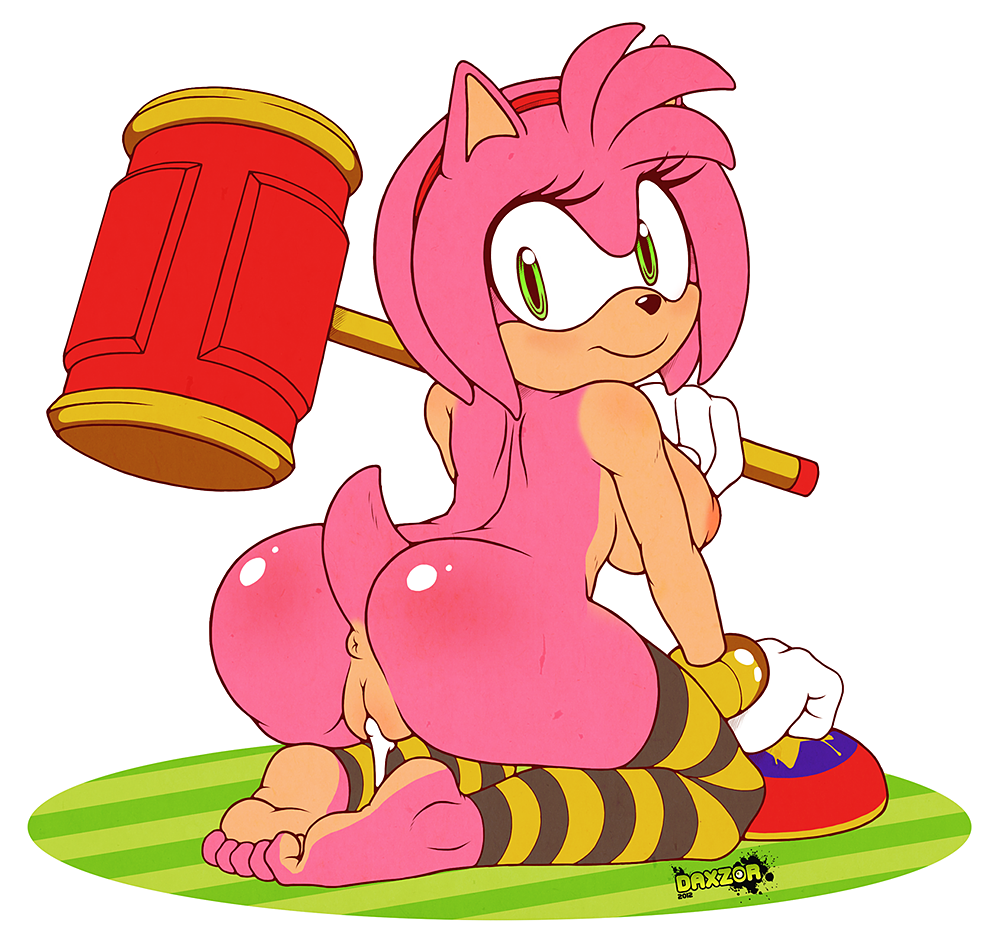 Rule34 – If it exists, there is porn of it / daxzor, amy rose / 205655