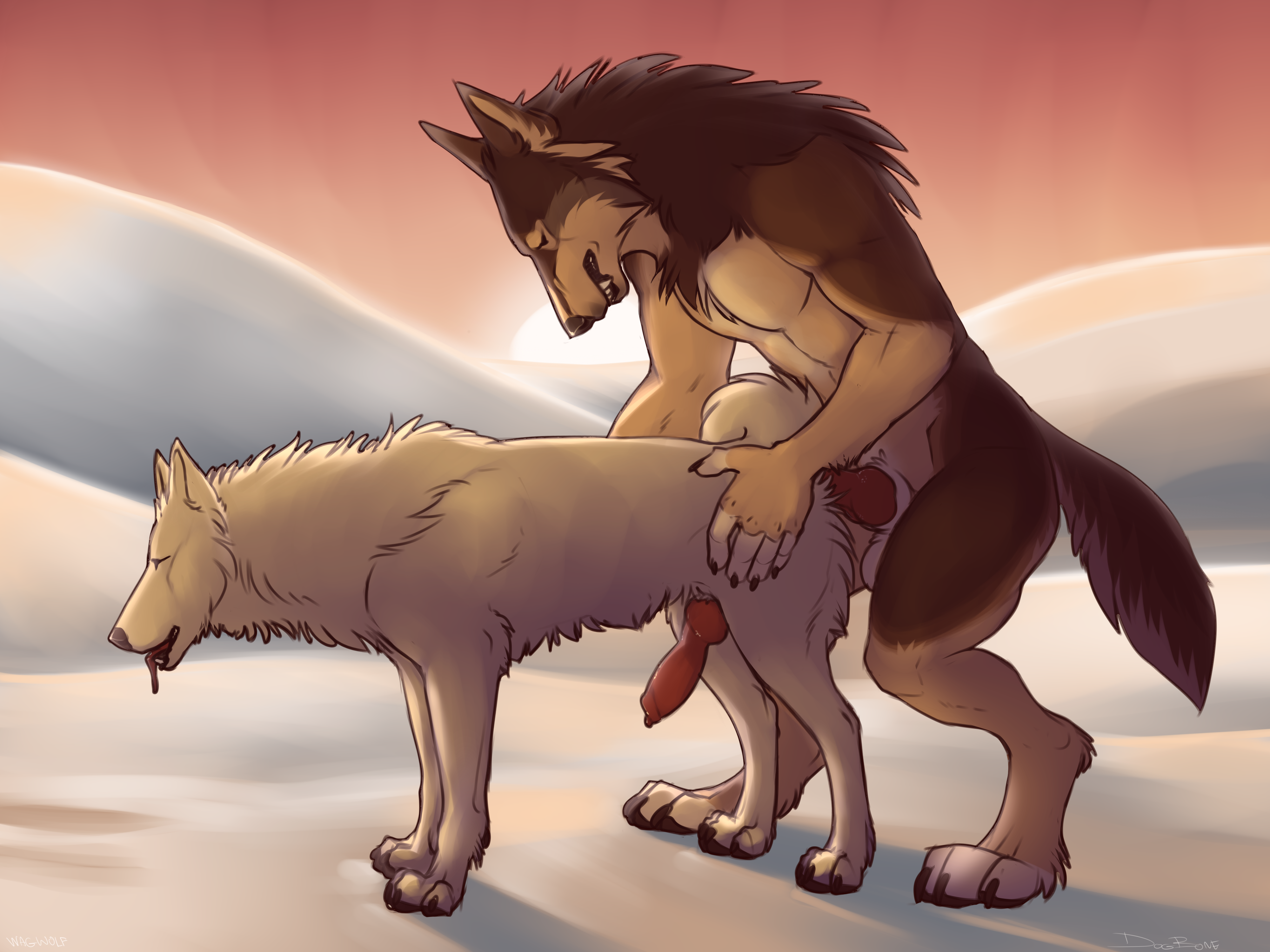 Rule34 – If it exists, there is porn of it / dog-bone / 205825