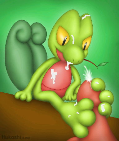 Rule34 – If it exists, there is porn of it / hukoshi, treecko / 206006
