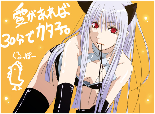 mr.romance, assassin (ragnarok online), kataasa-ko, katar assa child, ragnarok online, lowres, translation request, 1girl, albino, animal ears, assassin, blue hair, breasts, cat ears, cleavage, downblouse, female focus, gloves, latex, latex gloves, long hair, red eyes, solo, string, thighhighs, white hair