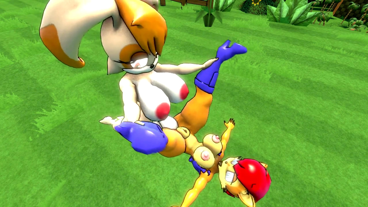 Rule34 – If it exists, there is porn of it / sally acorn, vanilla the rabbit / 206204