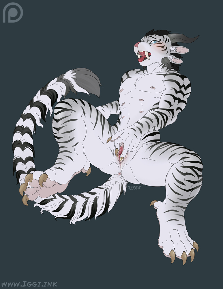 Rule34 – If it exists, there is porn of it / iggi, charr / 206348