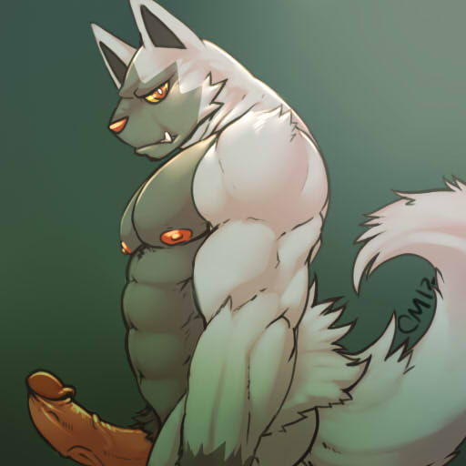 Rule34 – If it exists, there is porn of it / cursedmarked, poochyena / 206424