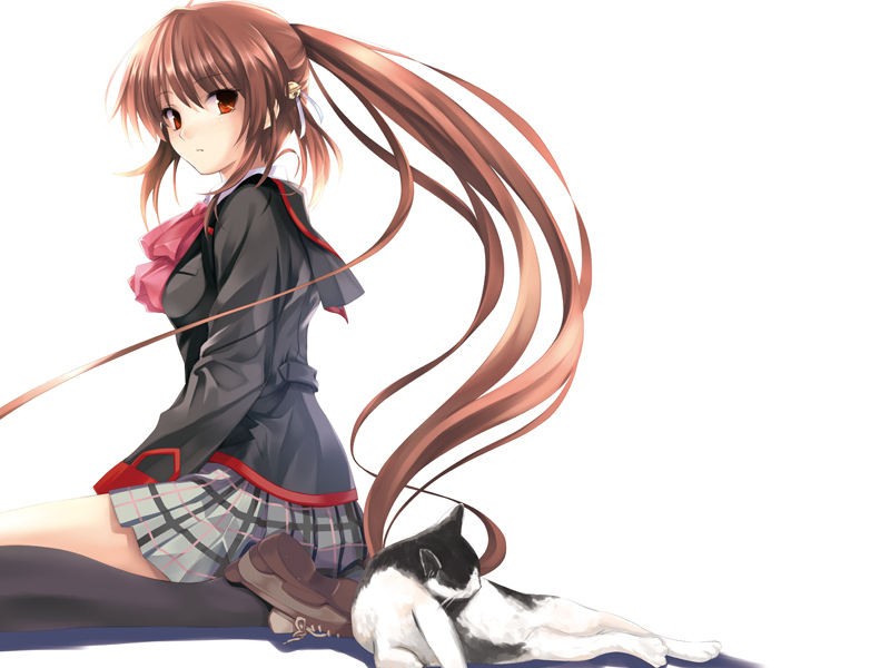 cradle (circle), misaki kurehito, natsume rin, little busters!, visual art's, 1girl, bow, cat, female focus, kneehighs, long hair, pink bow, ponytail, red eyes, school uniform, shoes, sitting, socks, solo