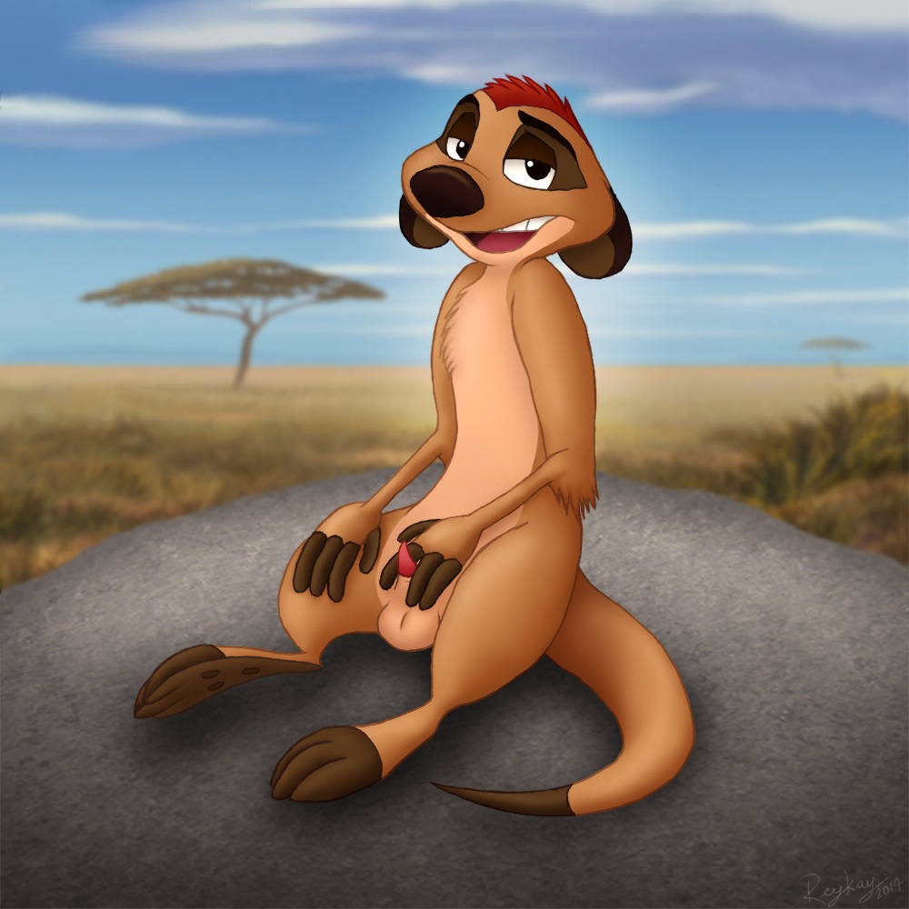 Rule34 – If it exists, there is porn of it / reykay, timon / 207295
