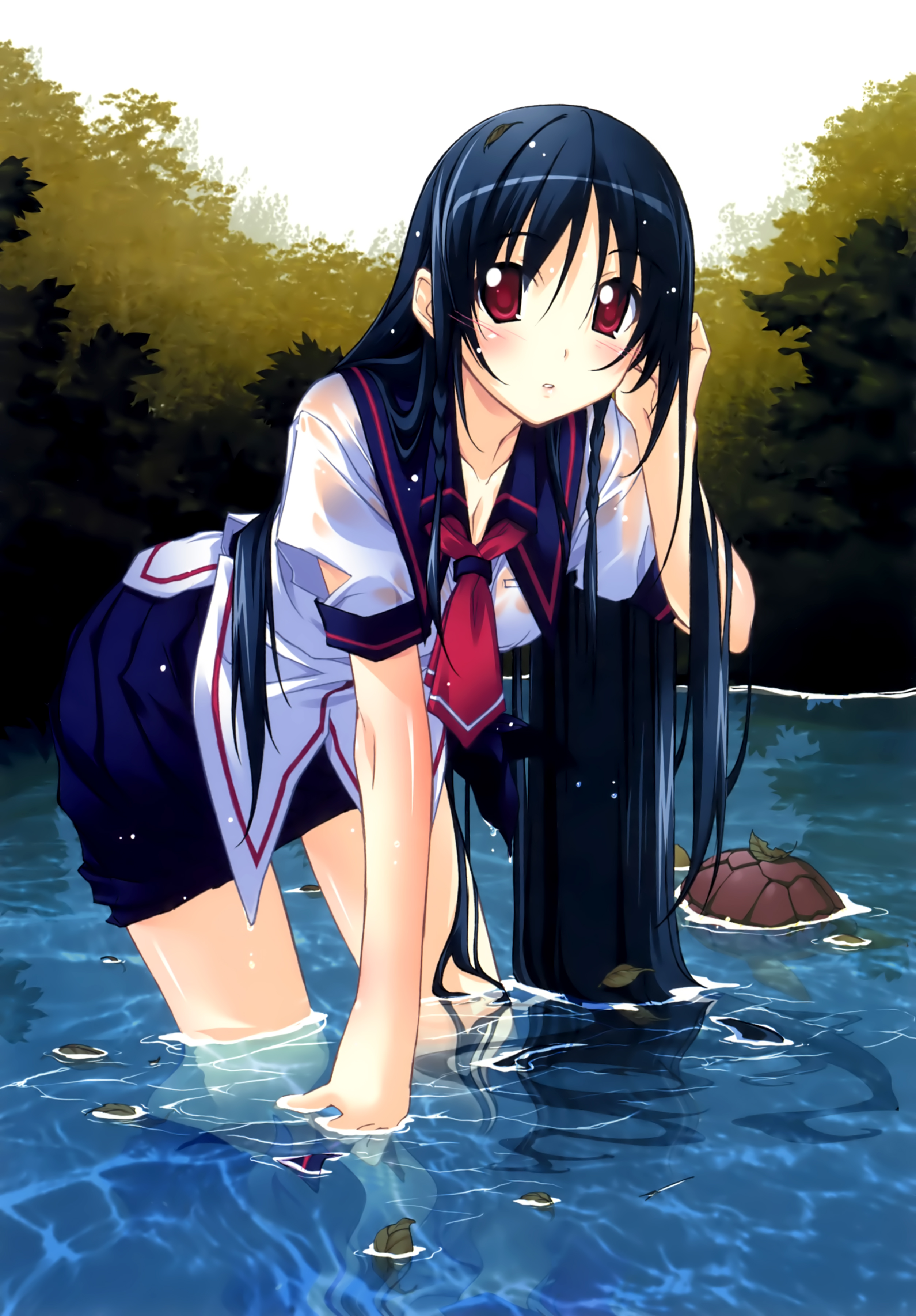 kurashima tomoyasu, hata seika, hitoyume, absurdres, highres, 1girl, blue hair, female focus, long hair, red eyes, ruffling hair, school uniform, solo, turtle, very long hair, wading, water, wet