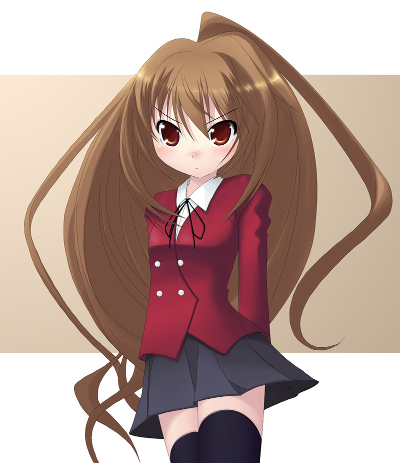 tomcat, aisaka taiga, toradora!, bad id, bad pixiv id, 00s, brown eyes, brown hair, long hair, school uniform, solo, thighhighs, zettai ryouiki