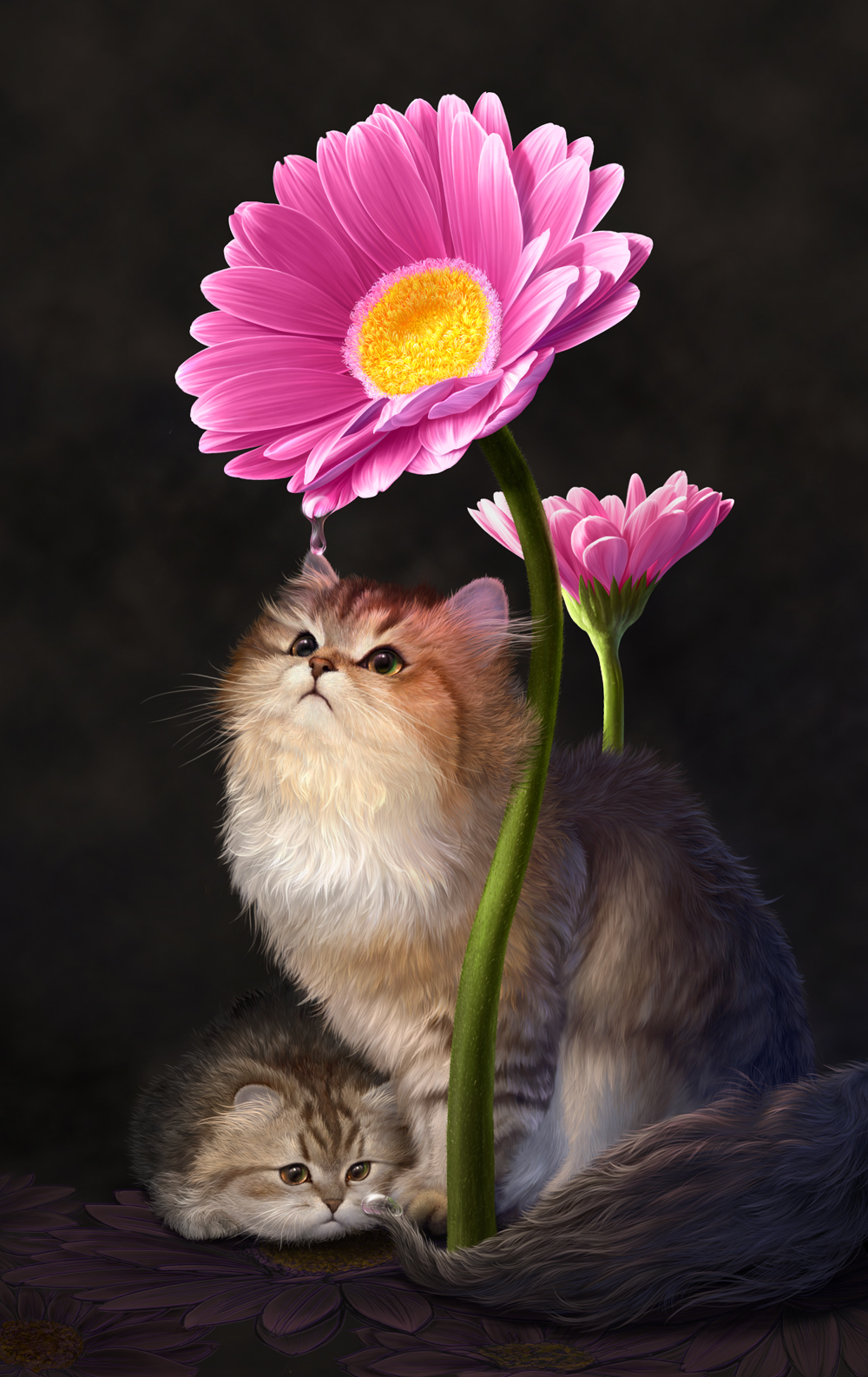 uchio kazumasa, original, commentary request, highres, animal focus, black background, cat, closed mouth, flower, fluffy, gerbera, lying, no humans, on flower, pink flower, realistic, sitting, yellow eyes