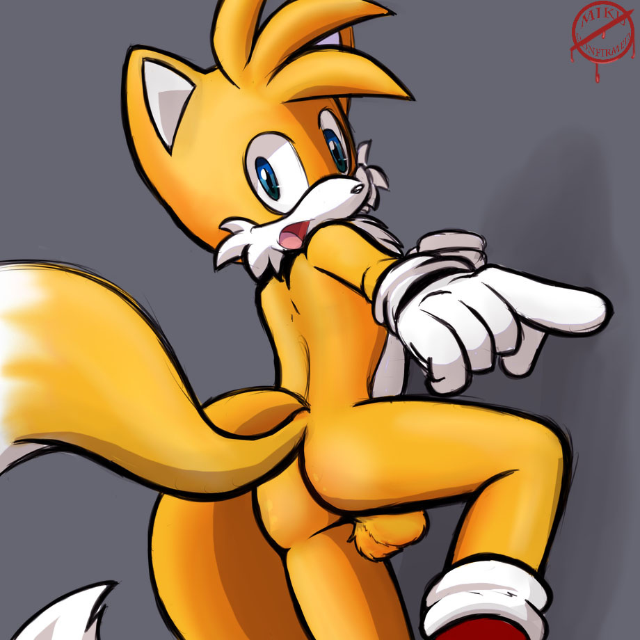 Rule34 – If it exists, there is porn of it / rexin, tails / 208107