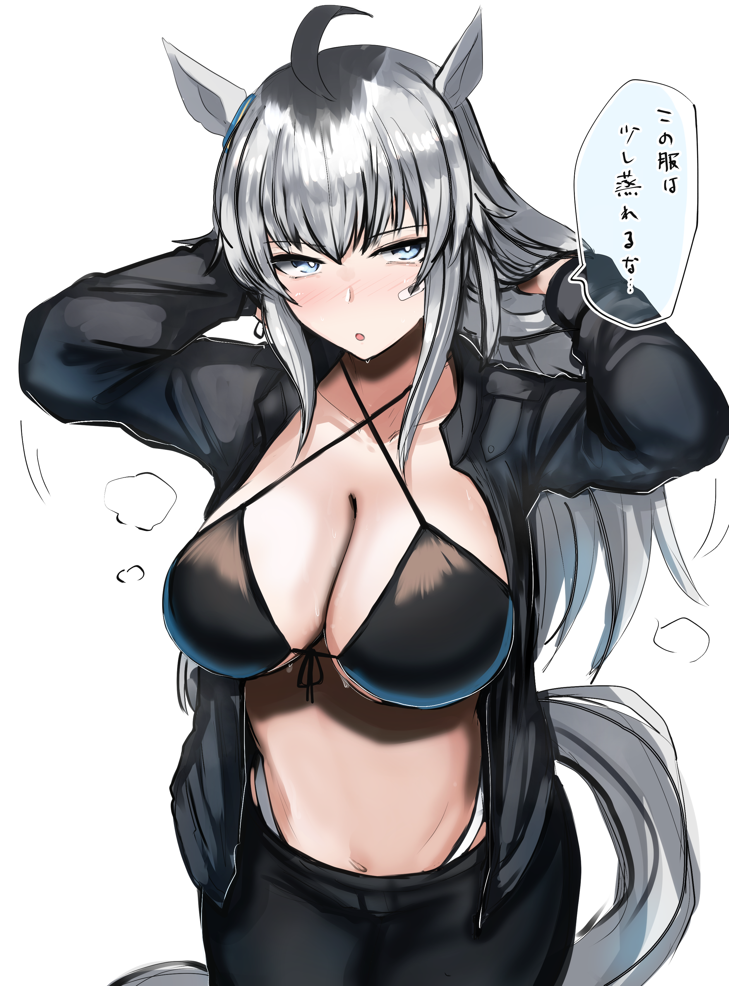 kanikama25, oguri cap (umamusume), umamusume, absurdres, highres, translation request, animal ears, blue eyes, breasts, grey hair, grey tail, horse ears, horse girl, horse tail, large breasts, navel, open mouth, simple background, speech bubble, tail, white background