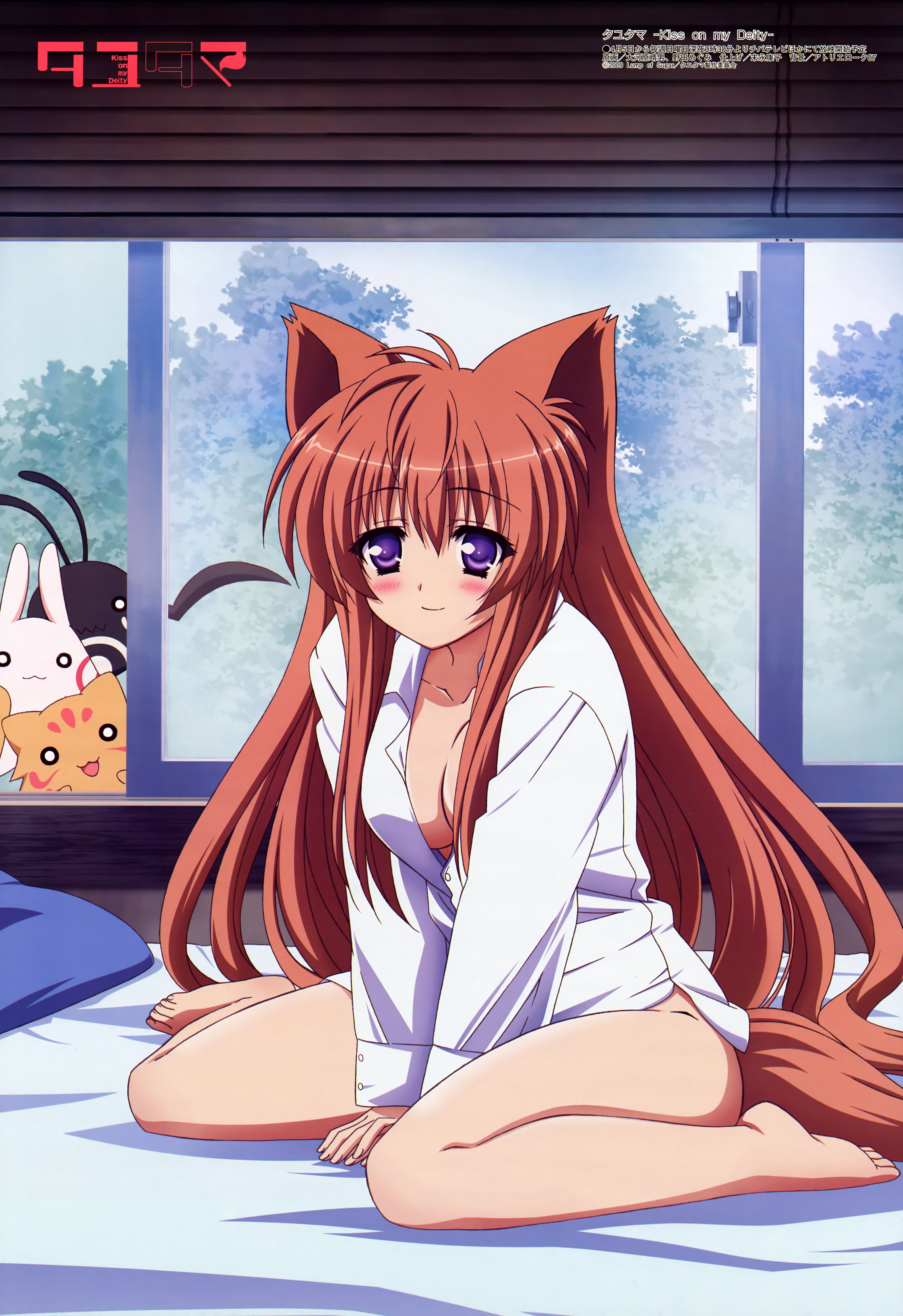 oogawara haruo, mito mashiro, megami magazine, tayutama, absurdres, highres, official art, scan, 00s, 1girl, animal ears, barefoot, bed, blush, breasts, brown hair, cleavage, dress shirt, female focus, long hair, naked shirt, purple eyes, shirt, sitting, solo, tail, v arms, wariza