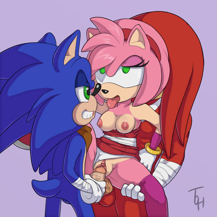 Rule34 – If it exists, there is porn of it / amy rose, knuckles the echidna, sonic the hedgehog / 208607
