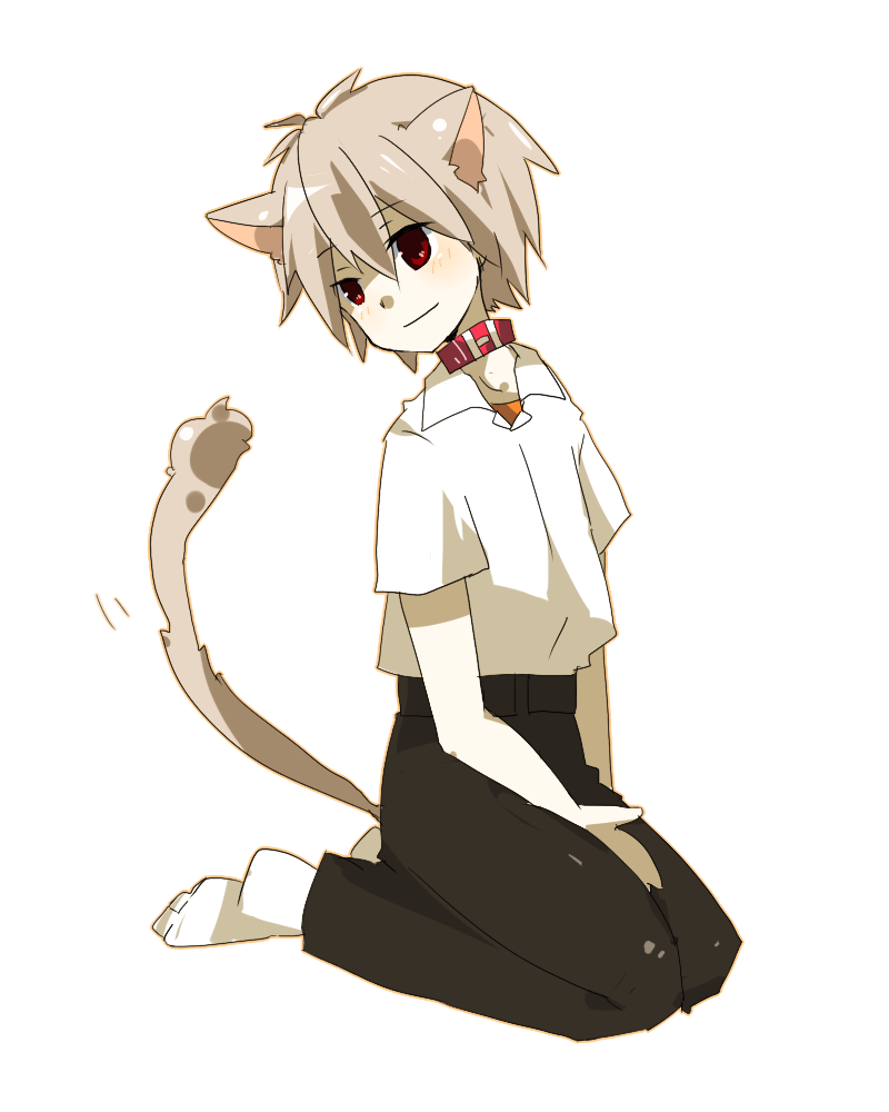 sa kuma, nagisa kaworu, neon genesis evangelion, bad id, bad pixiv id, animal ears, barefoot, blush, cat boy, cat ears, cat tail, collar, grey hair, kneeling, male focus, red eyes, smile, solo, tail