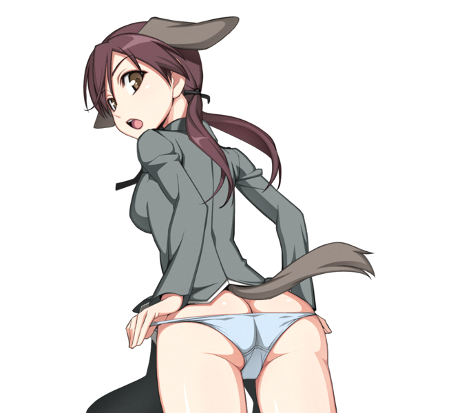 caryo, nanashino, gertrud barkhorn, strike witches, world witches series, 00s, 1girl, animal ears, ass, butt crack, female focus, from behind, looking back, panties, solo, tail, underwear