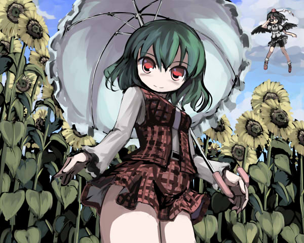 gatau, kazami yuuka, shameimaru aya, touhou, 2girls, ascot, belt, camera, female focus, flower, green hair, hat, multiple girls, nature, parasol, plaid clothes, plaid skirt, plaid vest, red eyes, short hair, skirt, skirt set, smile, sunflower, umbrella, vest
