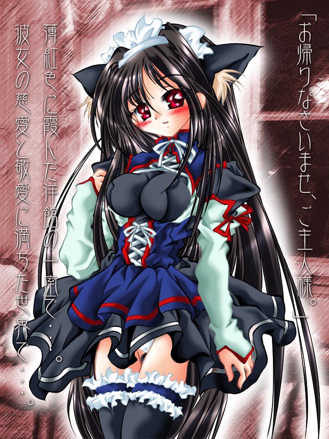 animal ears, black hair, blush, breasts, cat ears, frilled thighhighs, frills, large breasts, long hair, panties, red eyes, solo, thighhighs, underwear, very long hair
