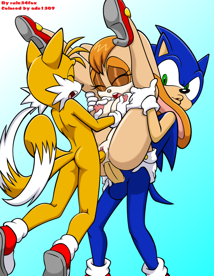 Rule34 – If it exists, there is porn of it / adc1309, habbodude, rule34rox, sonic the hedgehog, tails, vanilla the rabbit / 210246