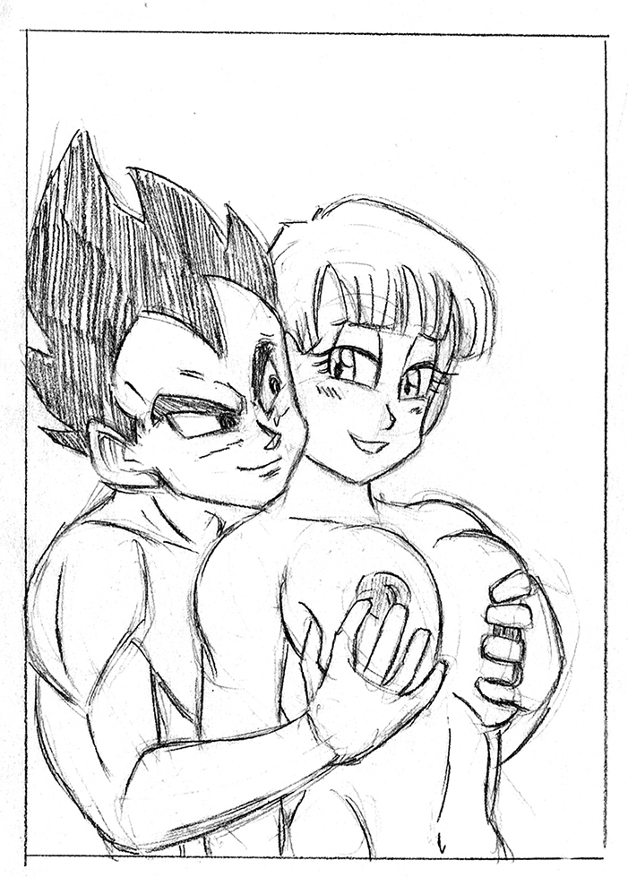 Rule34 – If it exists, there is porn of it / funsexydragonball, bulma briefs, vegeta / 210880