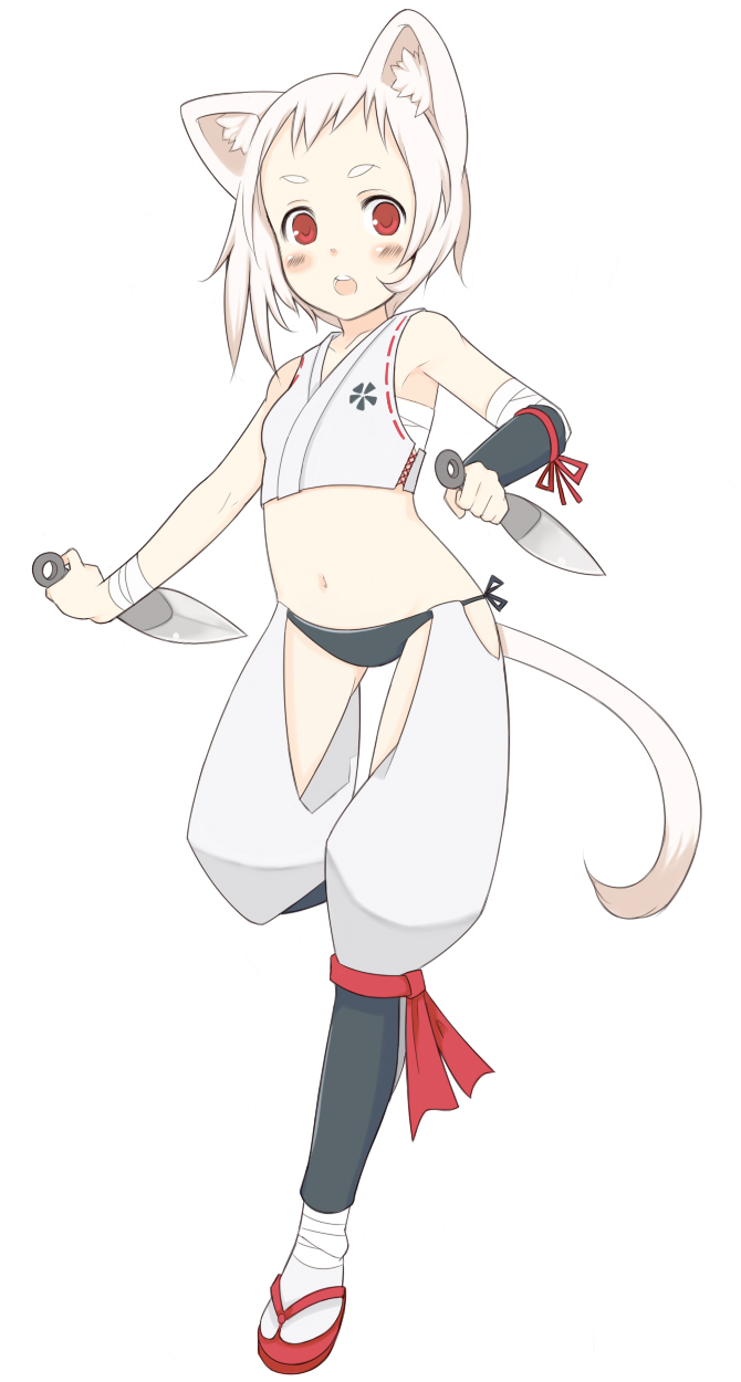 oza watto, original, highres, 1girl, albino, animal ears, bandages, blush, clog sandals, female focus, flat chest, kunai, ninja, panties, red eyes, sandals, sarashi, short hair, simple background, solo, tabi, tail, underwear, weapon, white hair, zouri
