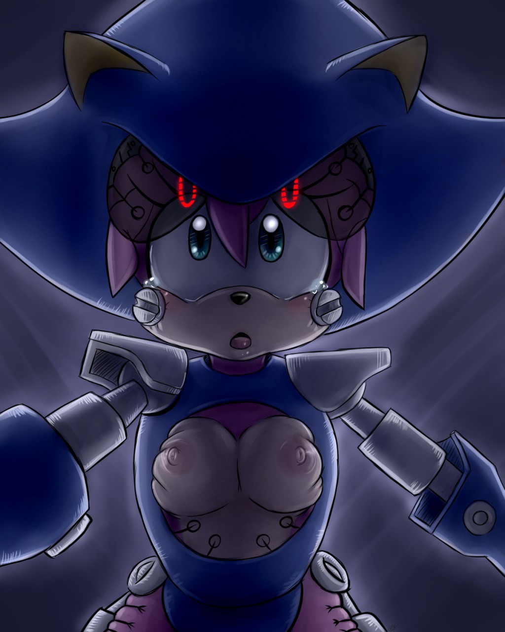 Rule34 – If it exists, there is porn of it / bluechika, amy rose, metal sonic / 211233