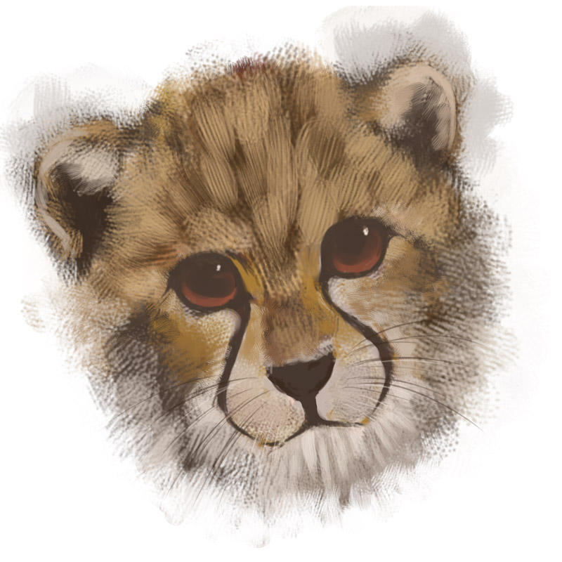yukihiro, original, animal, animal focus, body fur, cheetah, no humans, simple background, sketch