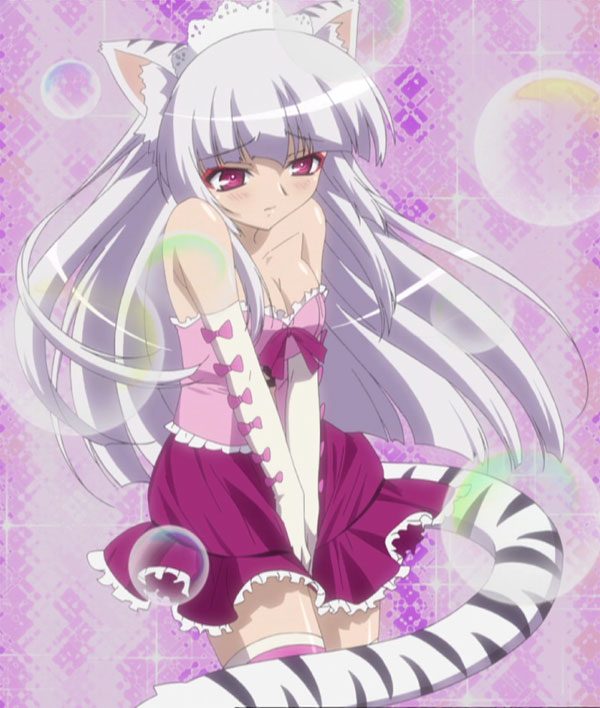 miyabi (macademi wasshoi), magician's academy, screencap, stitched, animal ears, cat ears, long hair, pointy ears, purple eyes, white hair