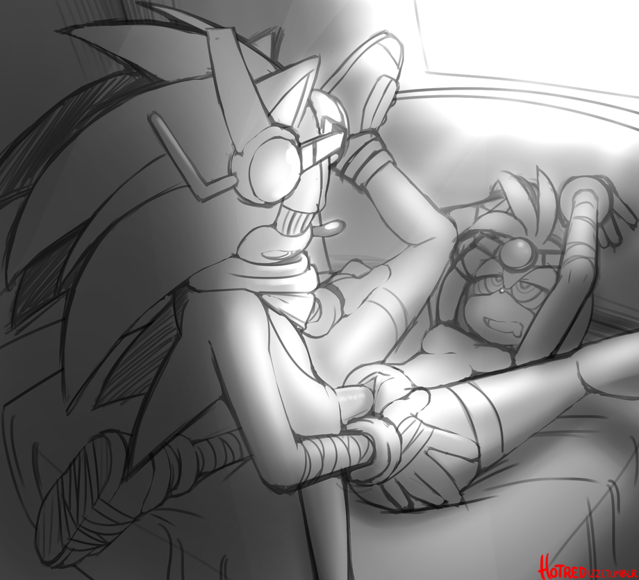 Rule34 – If it exists, there is porn of it / hotred, amy rose, sonic the hedgehog / 211411