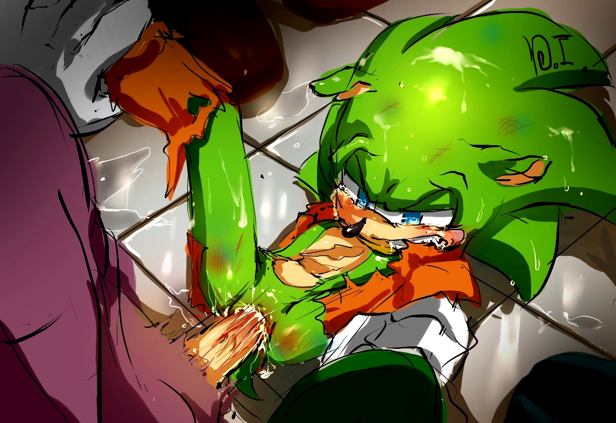 Rule34 – If it exists, there is porn of it / dragonichigo, scourge the hedgehog / 211553