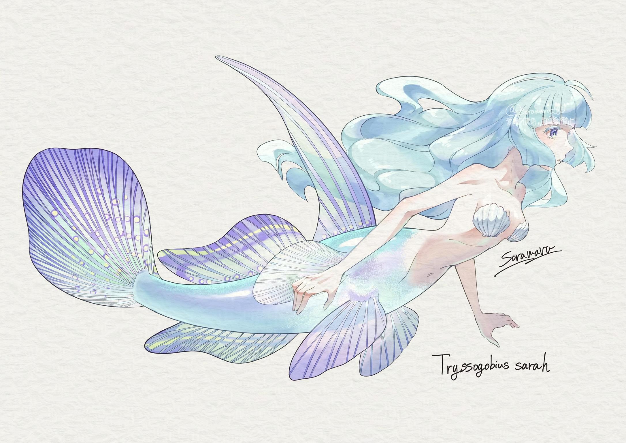soramaru ell, original, highres, 1girl, ahoge, bare shoulders, blue eyes, blue hair, breasts, english text, fins, long hair, looking ahead, mermaid, monster girl, navel, personification, sidelocks, signature, solo, twitter username