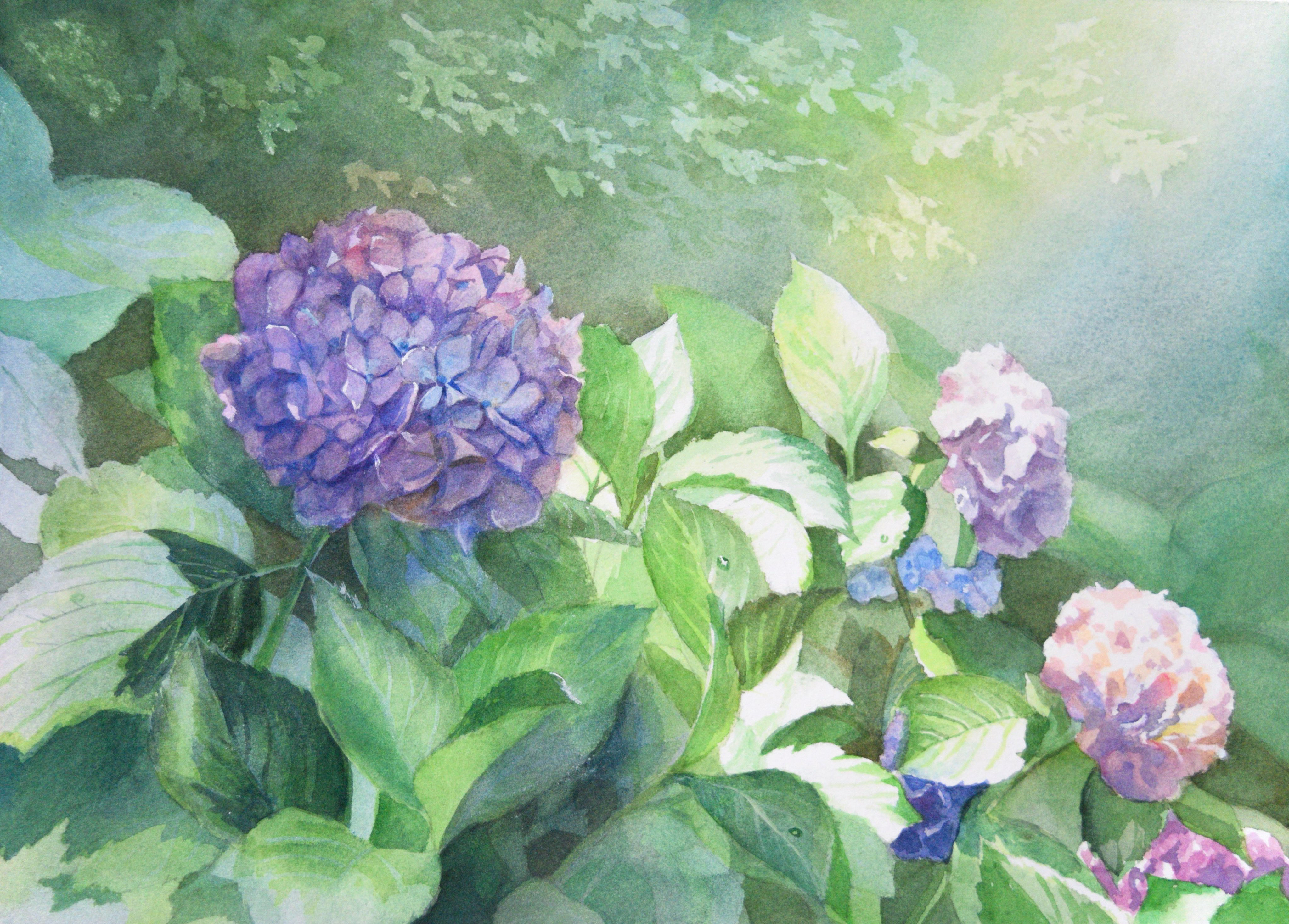 kazuyuki hashimoto, original, absurdres, commentary request, flower request, highres, painting (medium), traditional media, watercolor (medium), blue flower, flower, landscape, no humans, pink flower, plant, plant focus, purple flower, water drop
