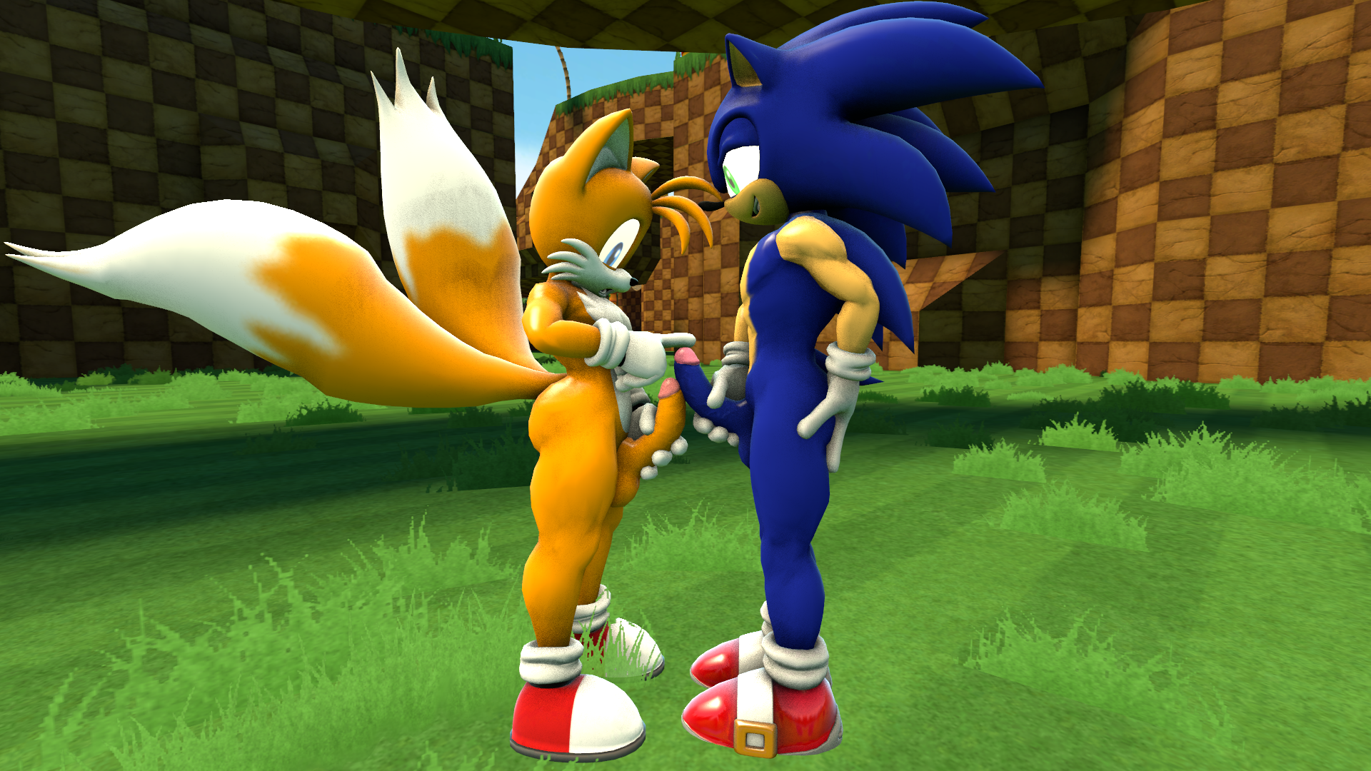 Rule34 – If it exists, there is porn of it / sanory (artist), sonic the hedgehog, tails / 211739